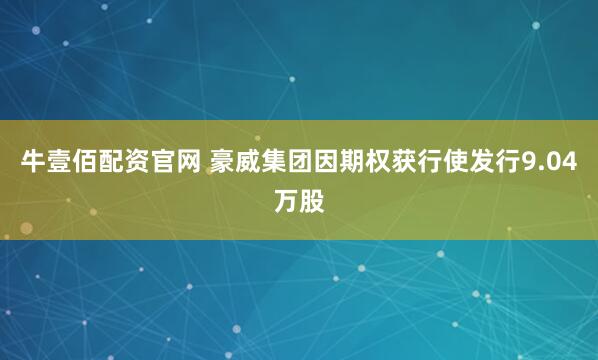牛壹佰配资官网 豪威集团因期权获行使发行9.04万股