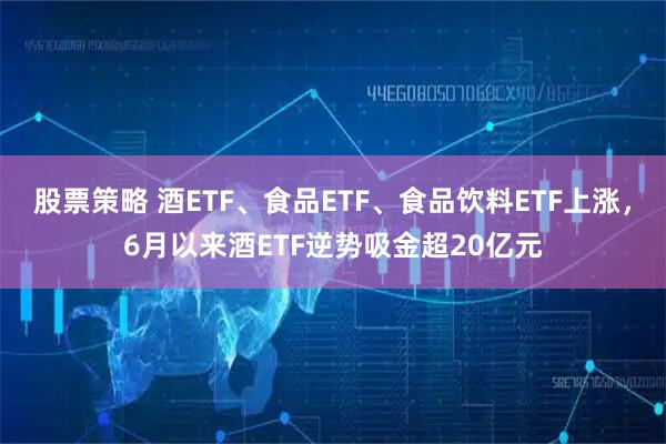 股票策略 酒ETF、食品ETF、食品饮料ETF上涨，6月以来酒ETF逆势吸金超20亿元